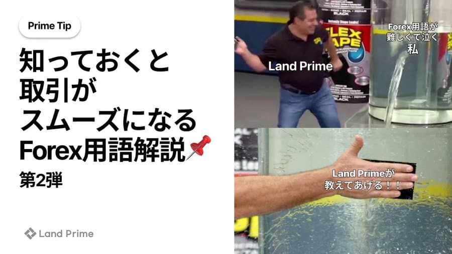 f2add681-ff14-4d72-8e91-860a7eed3b67.jpg
