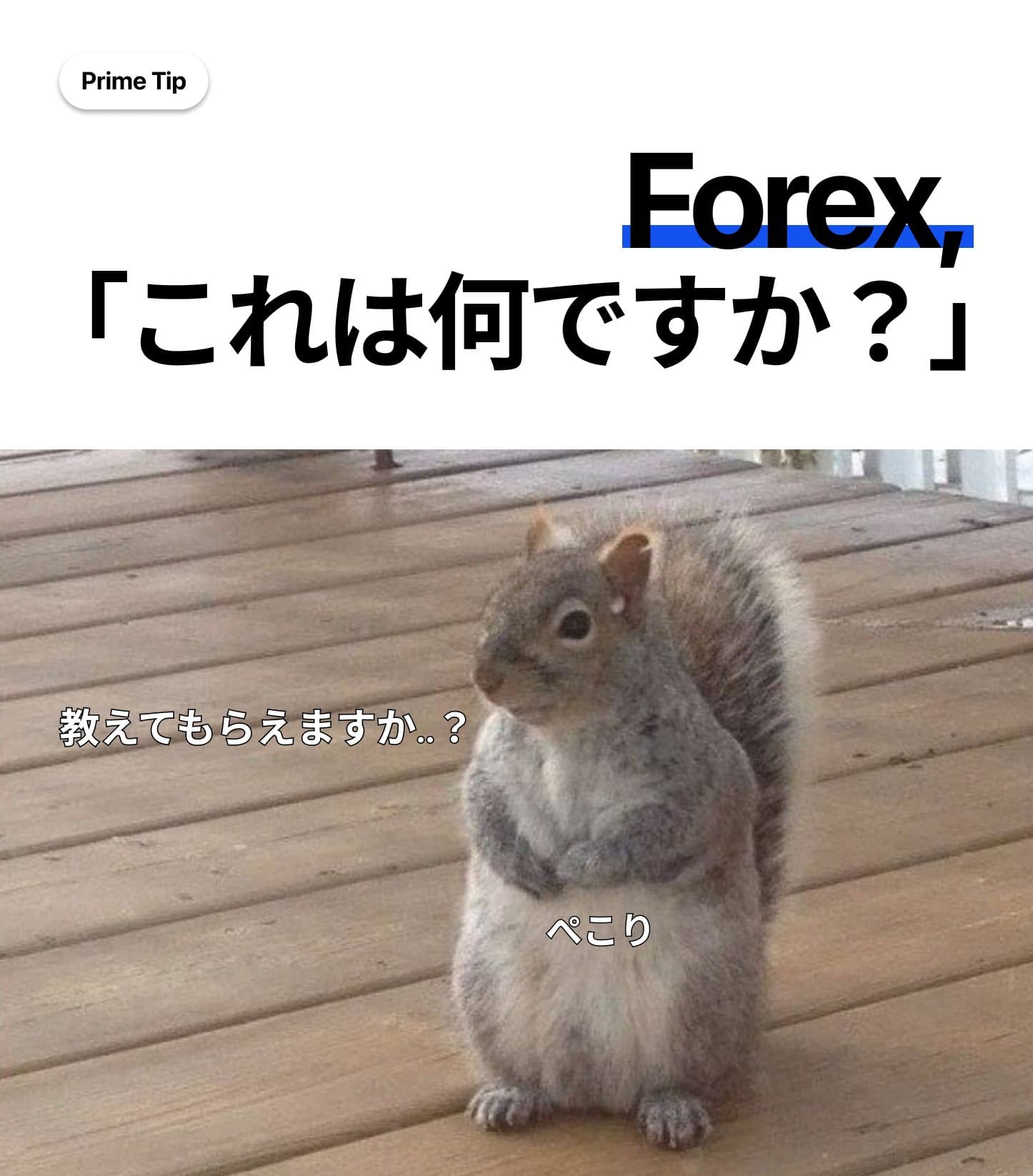 b7e2c3b2-23e1-43f7-8dc2-25a6a90a328c.jpeg