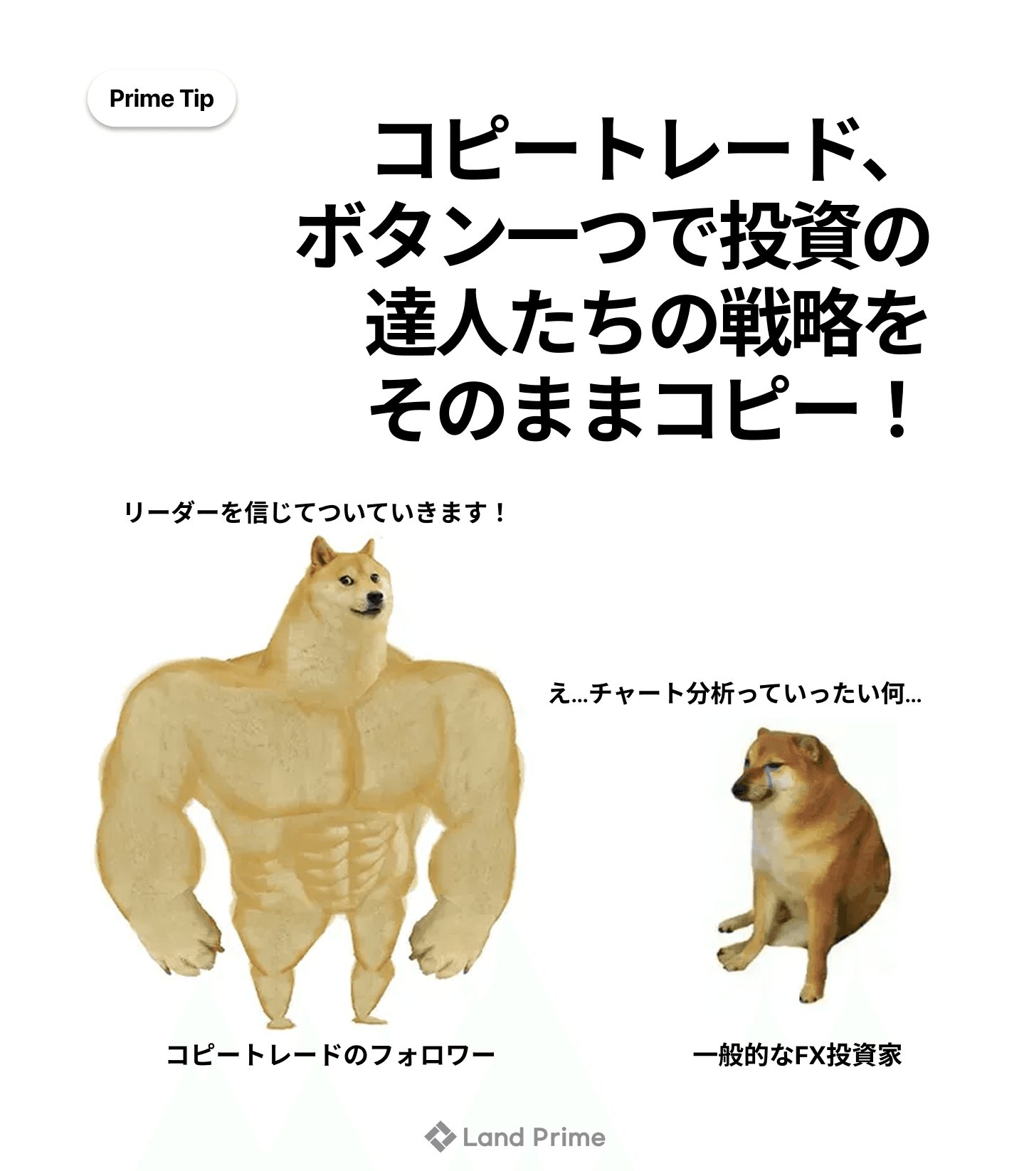 ff66ea66-e199-4cc4-99aa-bd01d3b37ce2.png
