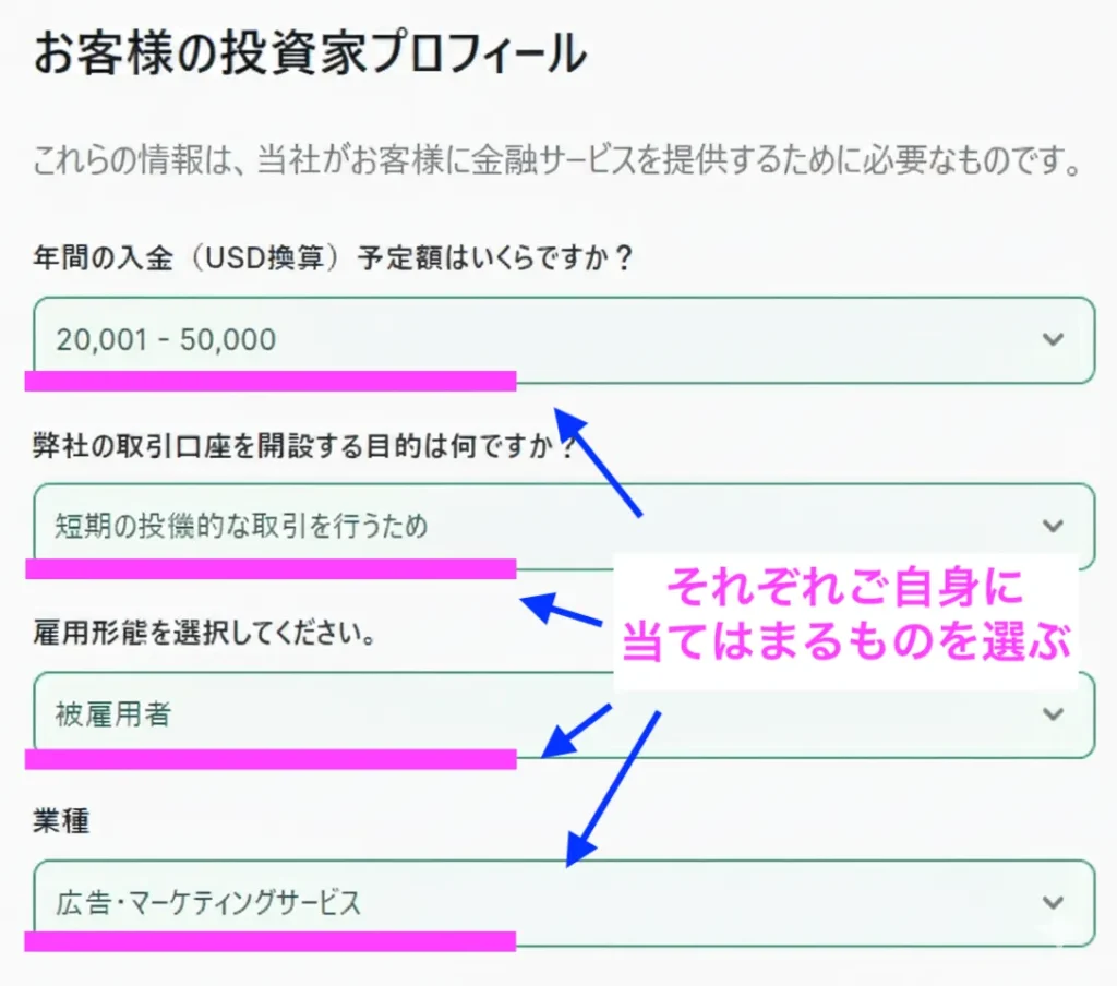 投資家プロフィールの入力画面1